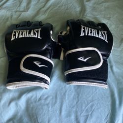 ufc everlast gloves