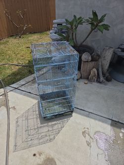 Bird cage