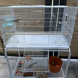 Bird Cage Fit For Multiple Small Birds