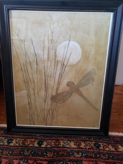 Framed Dragonfly Print