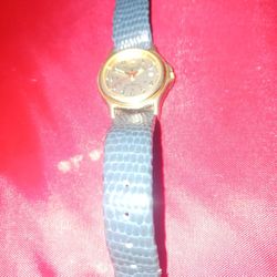 Vintage Coleman Watch