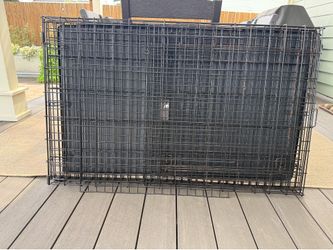 XL dog crate