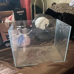 Rimless Fish Tank 