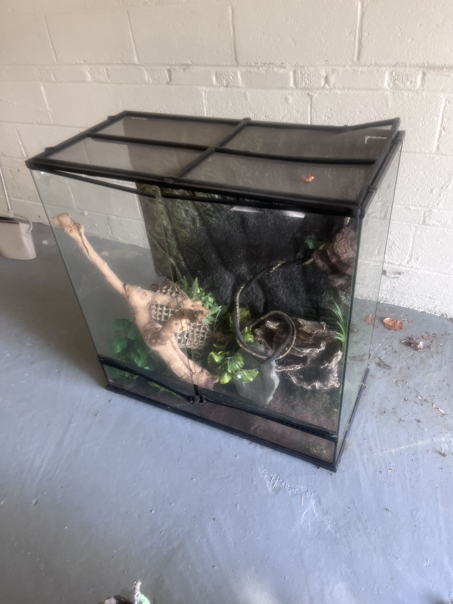  Large Terrarium