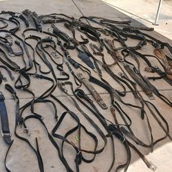 Horse Acesories 