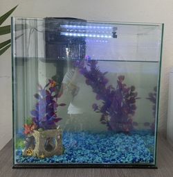 15 Gallon Tank