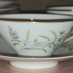 Rosenthal Summer Blossoms Fine China, 9 Cups And Saucers, Serving Pieces, 32 Pieces