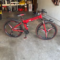 Folding Bike