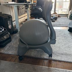 Yoga Ball Desk Chair