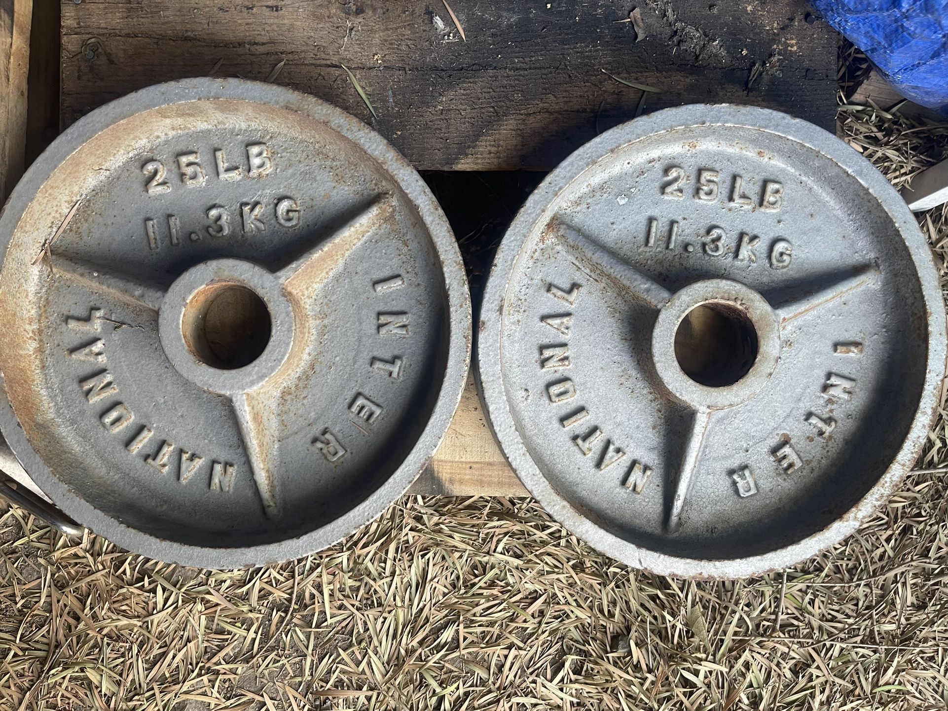 Olympic Weight Plates