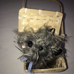 Toto dog with basket 