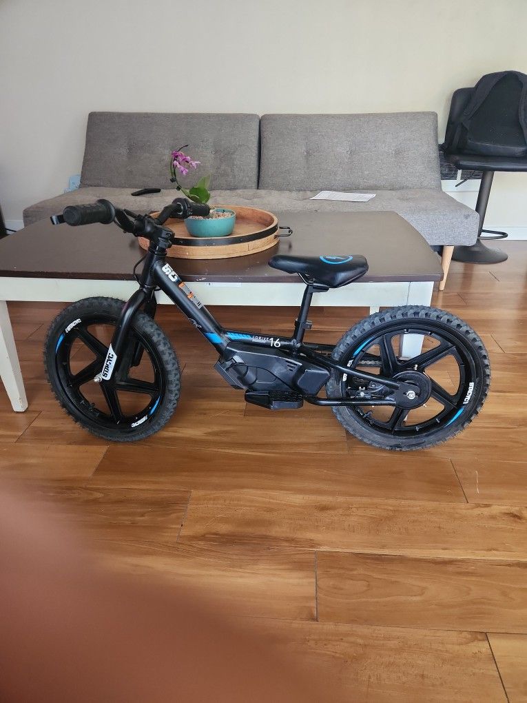 16 Stacyc bike
