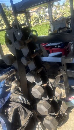 Dumbbells And Bench