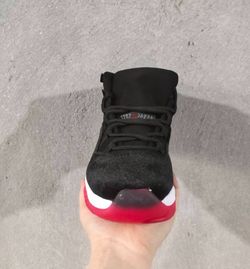 Jordan Velvet Bred 11s