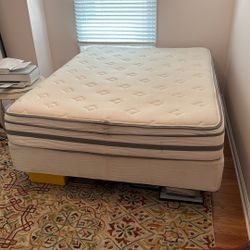 Queen Size Bed With Box Spring And Frame 