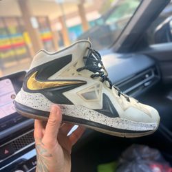 lebron james X