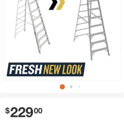 Ladder-Werner