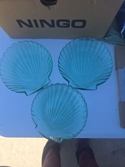 Plates en forma de cobchitaz