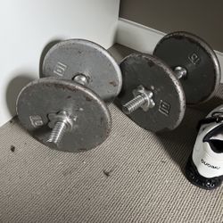 20lb Weights 