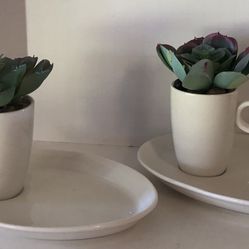 🙋‍♀️ 2 Pc Coffee Cups and Saucers Faux Succulents