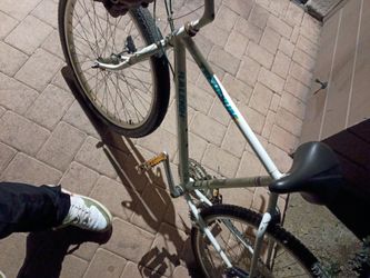 1988 Raleigh Technium