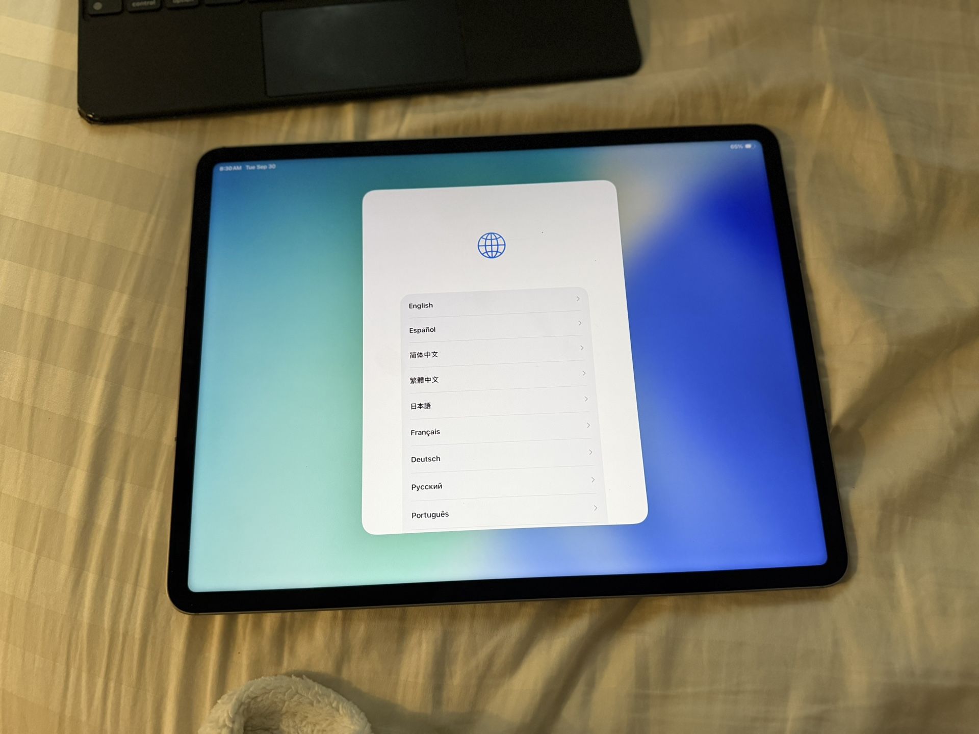I Pad Pro 6 gen Cellular M2 And Keyboard