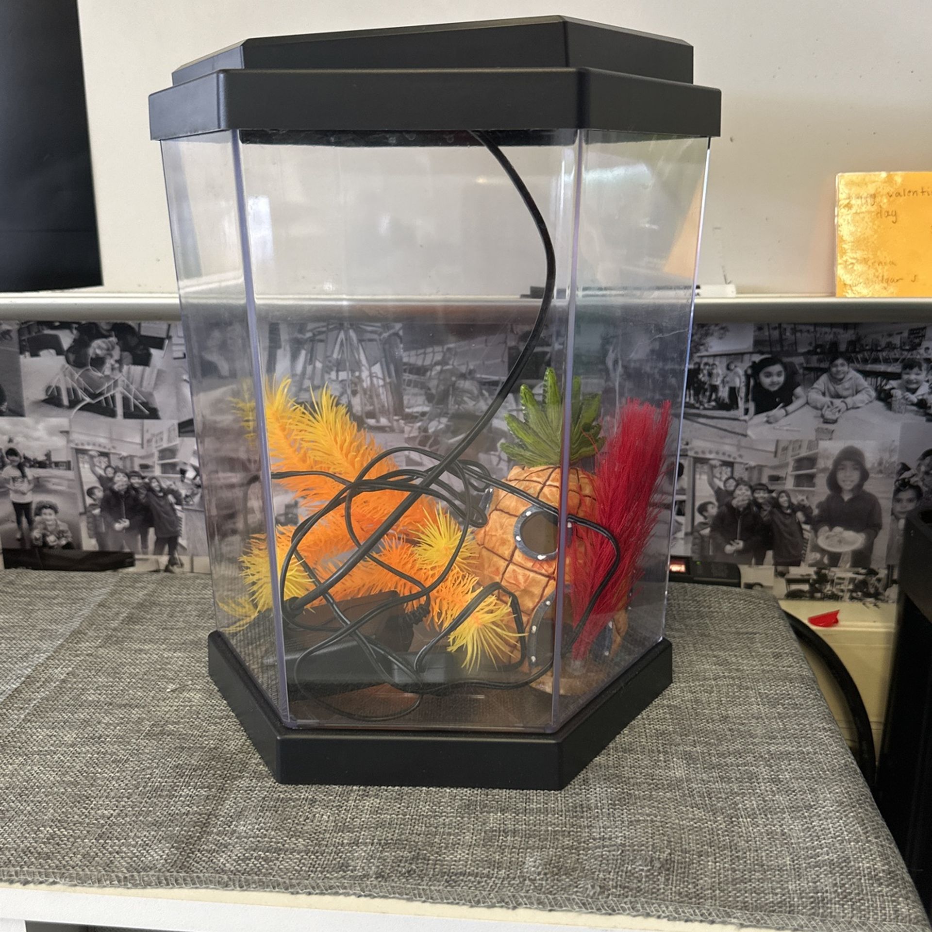 Fish Tank!