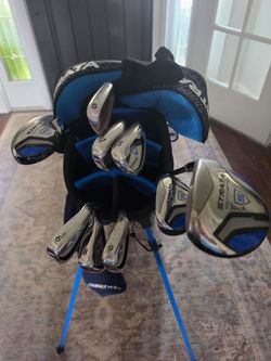 Golf club and bag