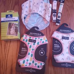 Dog Collar,Vest,Harness And Travel Harness For Medium Dog