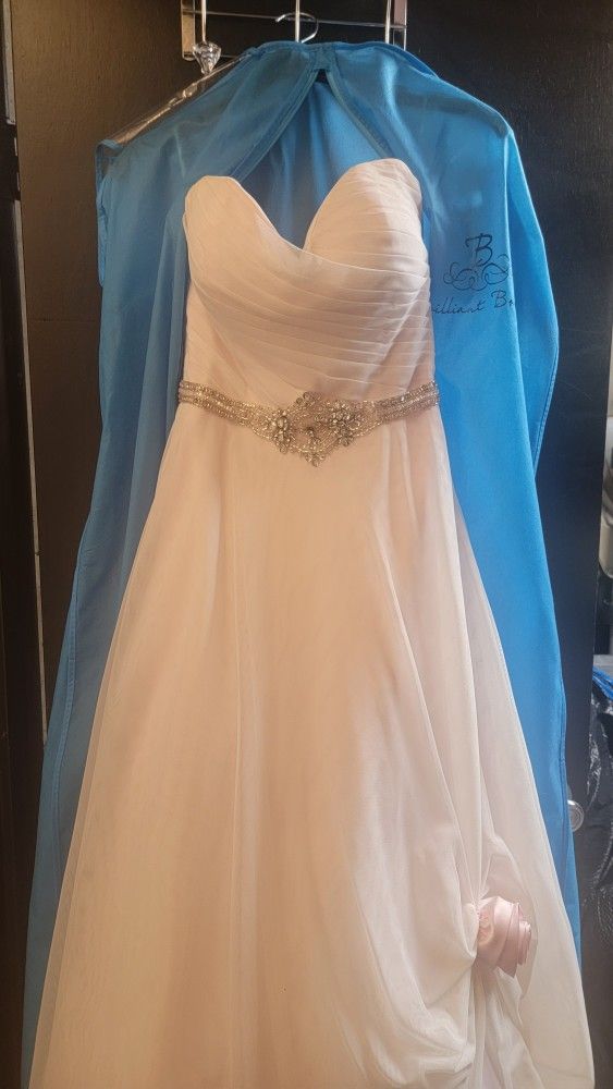 Pink/Blush Wedding Dress