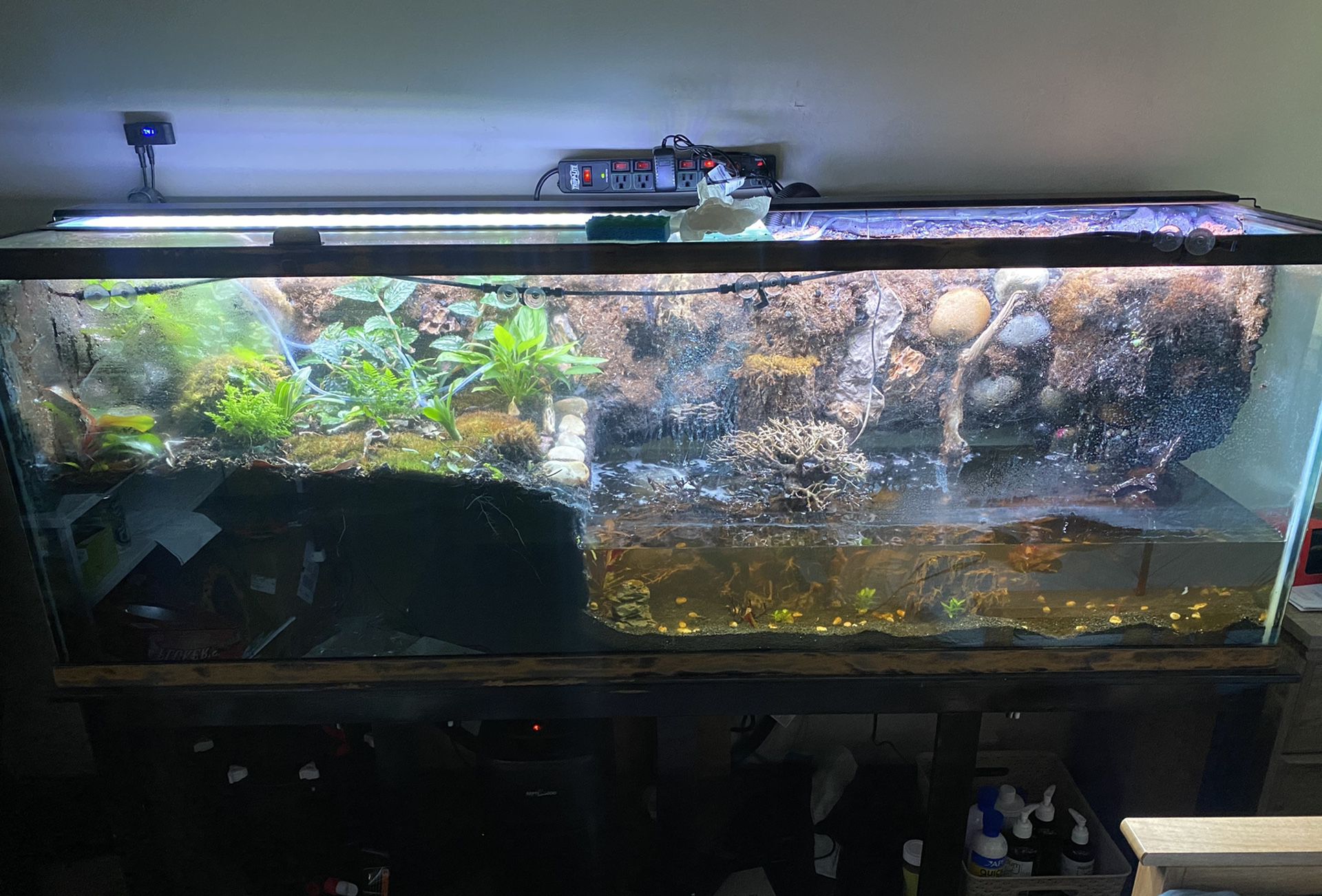 Fish tank vivarium aquarium terrarium