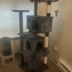 Kitty Play Post & Chill Spot