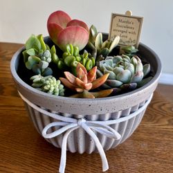 Lovely, Large Colorful, Succulent Gift Arrangements With 10 Different Varieties In Each Pot. Made With Care.