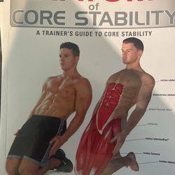 Anatomy Of Core Stability Book