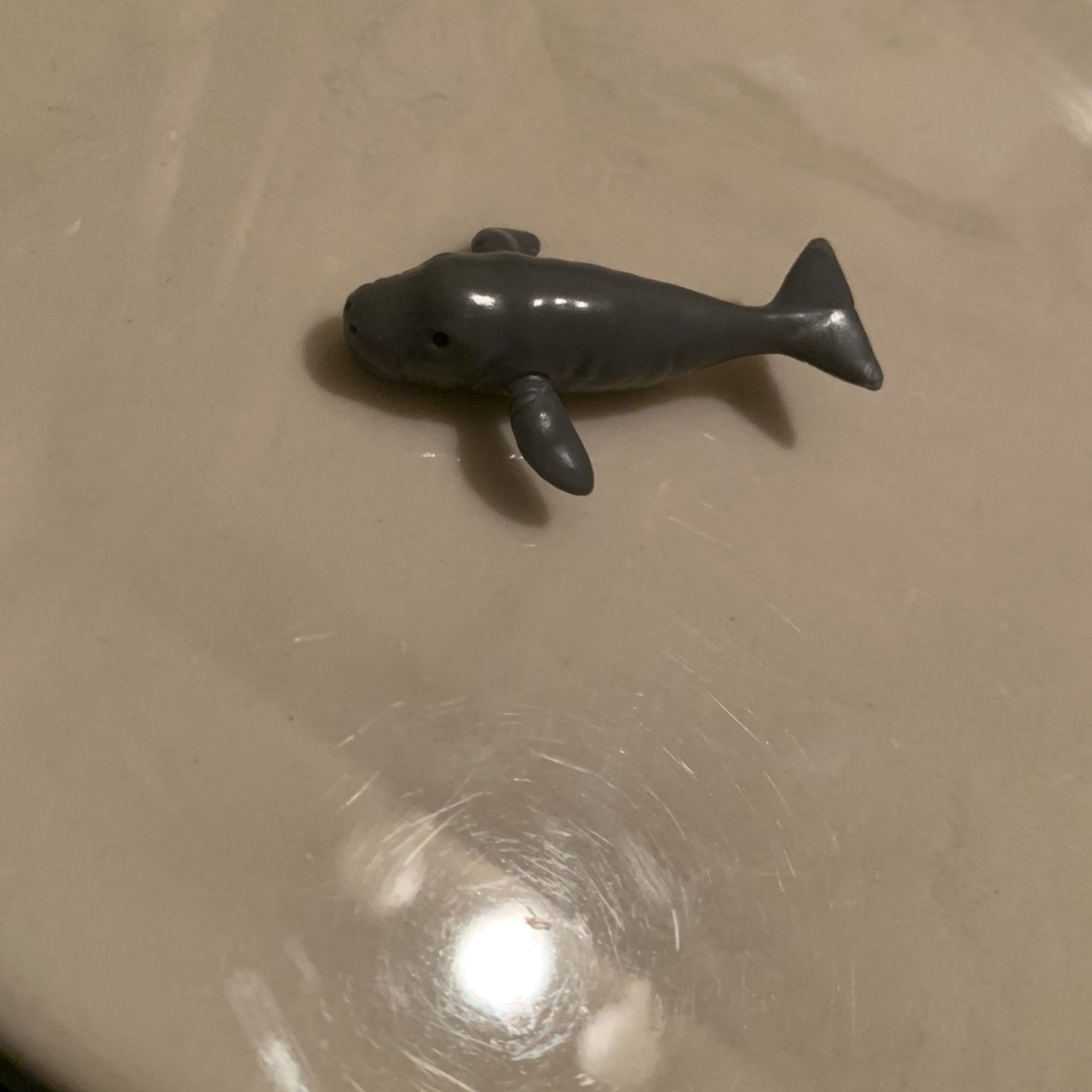 Derpy Manatee Toy