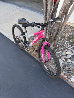 Gravel Bike