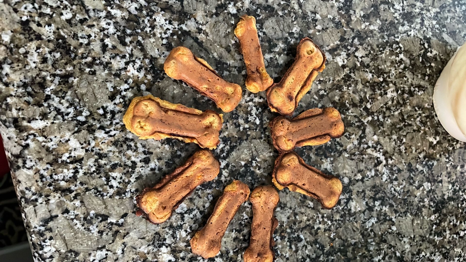 Homemade Dog Treats
