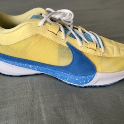 Nike Zoom Freak 5 - “Through My Eyes” Brand New