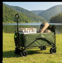 2 in 1 Wagon