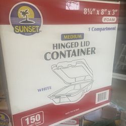Foam Container - 3 Boxes 