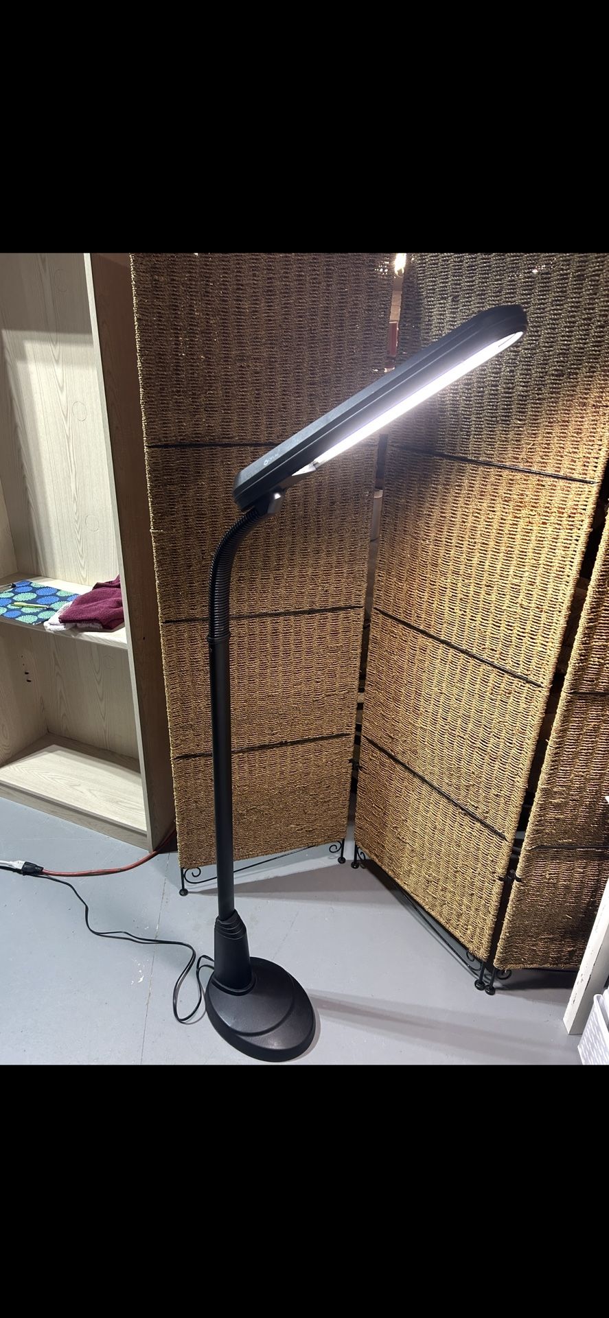 Standing Light
