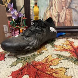 Puma Shoes 