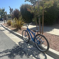 Se Bikes Monster Quad 