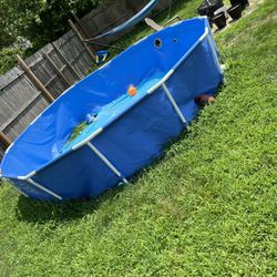 Pool Frame And Filter