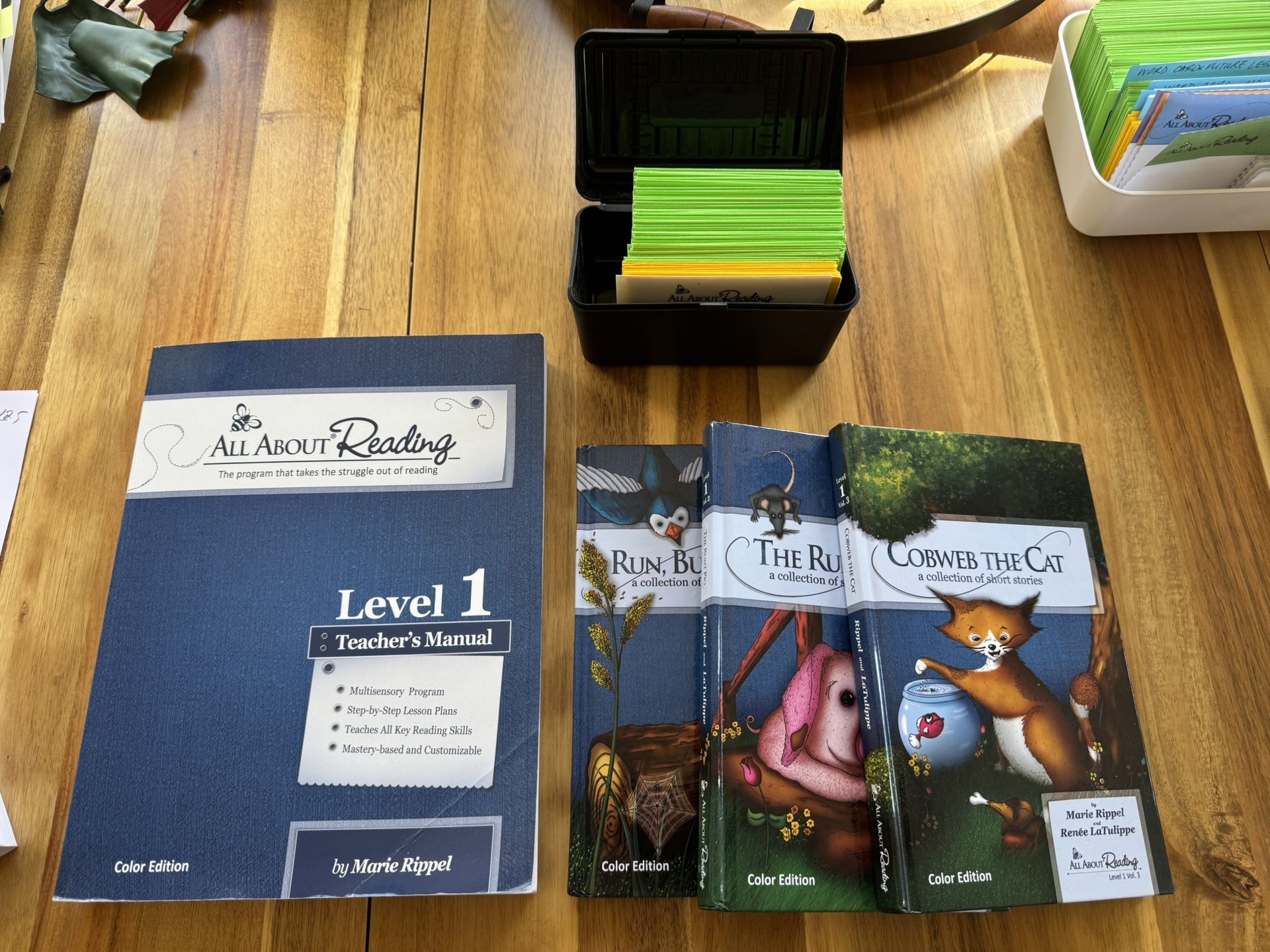 Homeschool: All About Reading Level 1