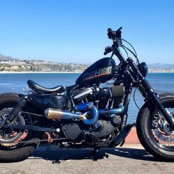Sportster 1200, 2001 , 48