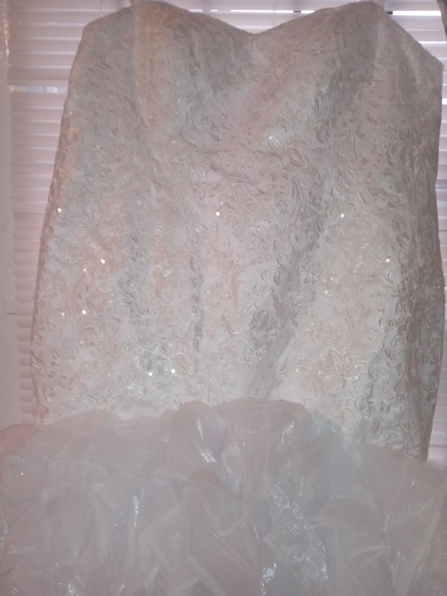 Plus Size Brand New