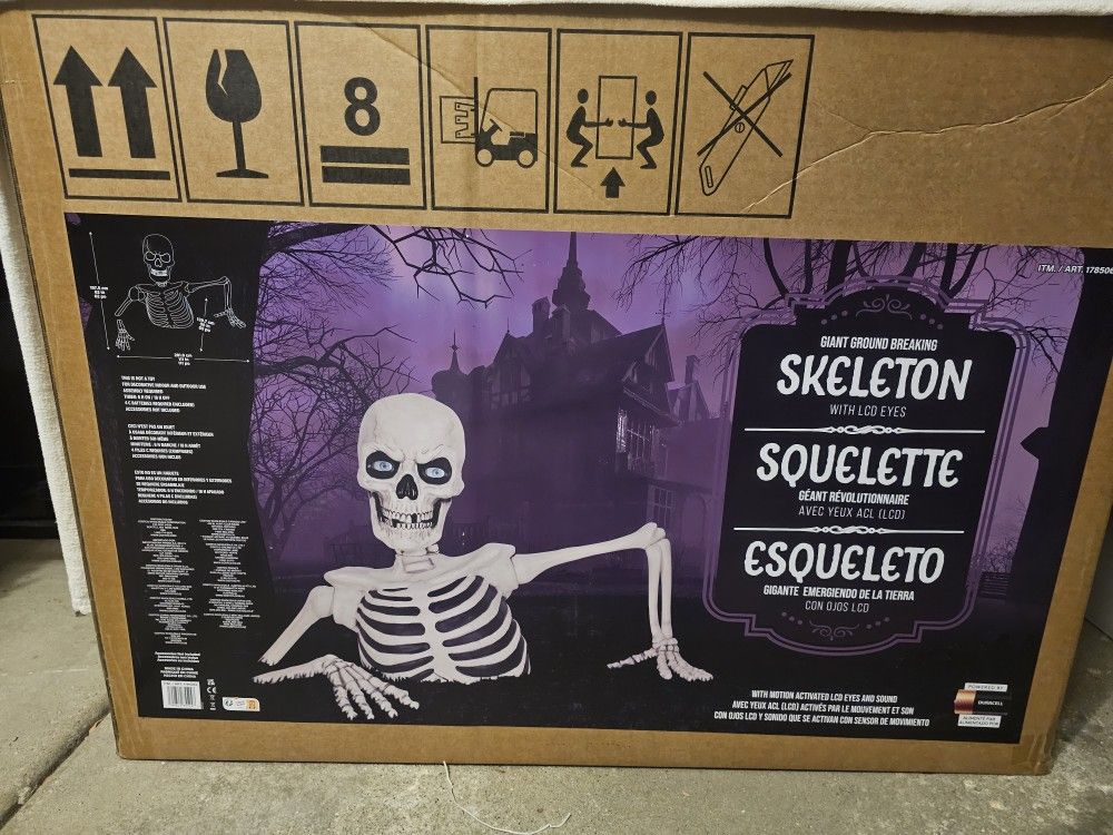 Costco Skeleton