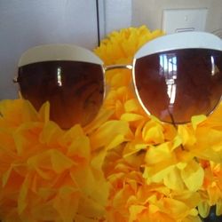 Sunglasses 