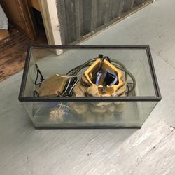 12 Gallon Fish Tank W Accessories 